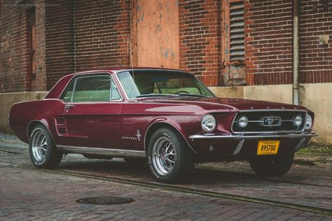 I would be good with this shade of red 1967 Mustang Coupe, Mustang Restomod, Louisiana House, Mustang 67, Car Mustang, Mustang 1967, Classic Mustangs, Ford Mustang 1967, Ford Mustang Classic