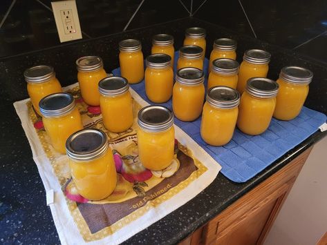 Preserving Sunshine: A Beginner's Guide to Homemade Orange Juice Using the Water Bath Method How To Can Orange Juice, Canned Orange Juice, Orange Juice Concentrate Recipes, Canning Orange Juice, Canning Oranges, Canning Fruit Recipes, Homemade Orange Juice, Orange Juice Recipes, Pressure Canning Recipes