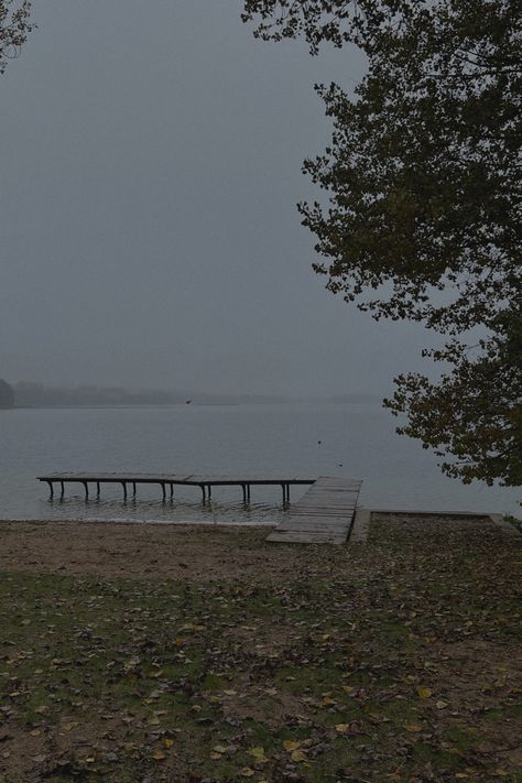 Rainy British Aesthetic, Foggy Lake Aesthetic, Rainy Town Aesthetic, Foggy Aesthetic Wallpaper, Tree Aesthetic Wallpaper, Foggy Rain, Foggy Lake, Rainy Lake, Rainy Wallpaper