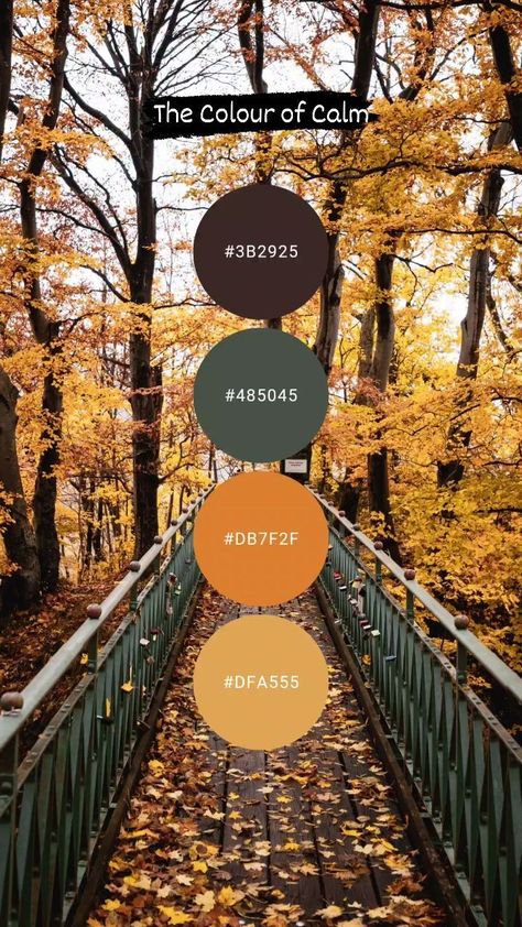 The Colour of Calm - Free Colour Palettes (@the_colour_of_calm) • Instagram photos and videos Fall Yarn Color Palette, Boho Fall Color Palette, November Color Palette, Purple And Orange Color Palette, Colour Palette Autumn, Color Palette Autumn, Color Palette Purple, Rustic Color Palette, Autumn Colour Palette