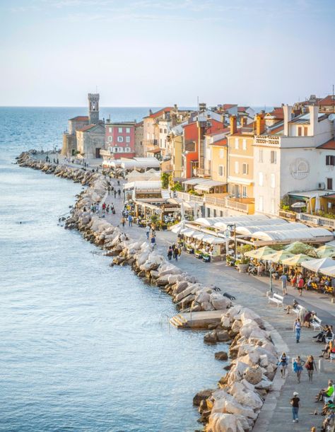 Piran / Slowenien Beautiful Cities, Emilia Romagna, Sirens, Dream Destinations, Europe Travel, Travel