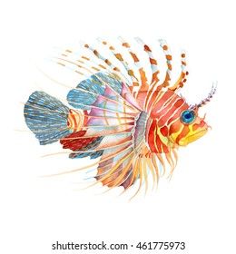 Watercolor Fish, Fish Illustration, Lion Fish, Fish Drawings, Angel Fish, Square Canvas, Colorful Fish, Painting Lessons, White Hand