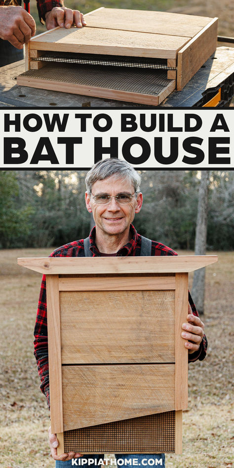 man holding a bat house Bat Box Diy, Bat Houses Diy How To Build Easy, Bat House Plans Diy, Diy Bat Box How To Build, Bat Boxes Diy How To Build Easy, How To Make A Bat House, Bat Boxes Diy How To Build, Bat Houses Diy How To Build, Easy Diy Birdhouse