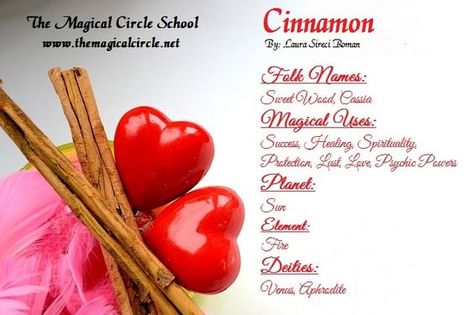 Magical Properties Of - Cinnamon Plant Magick, Magical Circle, Nature Witch, Magickal Herbs, Tarot Magic, Magic Herbs, Herbal Plants, Kitchen Witchery, Magical Herbs