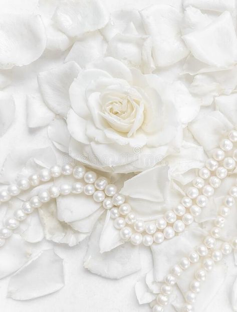 Beautiful white rose and pearl necklace on a background of petals. Ideal for gre #Sponsored , #ad, #ad, #rose, #Beautiful, #Ideal, #pearl Rose And Pearl, Cards For Wedding, Rose Beautiful, Wedding Greeting Cards, A Background, White Rose, White Roses, Pearl White, Wedding Cards