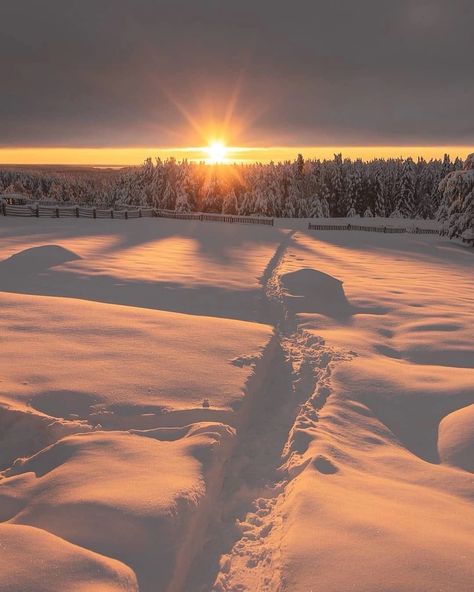 Snow Pictures Ideas, Christmas Sunset, Sunrise Tattoo, Sunset Tattoos, Sun Aesthetic, Snow Trip, Sunset Art, Winter Vibes, Sunset Painting