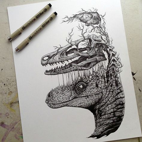 Raptor skull and brain drawing por www.pjackson.bigcartel.com Animal Skull Drawing, Brain Drawing, Paul Jackson, Animal Skeletons, Dinosaur Drawing, Skulls Drawing, Dinosaur Art, Black White Art, A Dinosaur