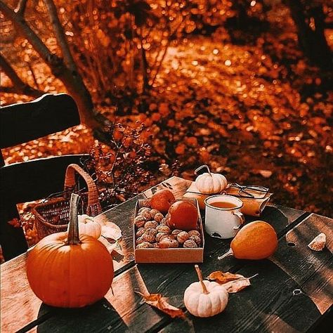 🍁Autumn Season🍁 (@fall_fashion_season) • Instagram photos and videos Icon Background, Autumn Magic, Have Inspiration, Autumn Scenes, Autumn Scenery, Fabulous Fall, Fall Pictures, Autumn Cozy, Autumn Aesthetic