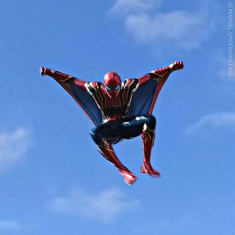 Spiderman Web Wings, Spiderman Images, Peter Spiderman, Spiderman Web, Marvel Statues, Image Spiderman, Scarlet Spider, Wing Design, Iron Spider