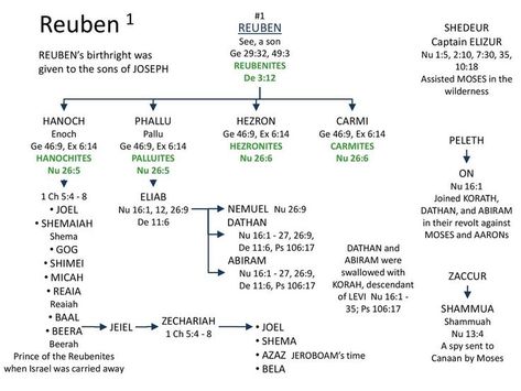 Jacob Bible, Bible Family Tree, Bible Genealogy, Torah Study, Sons Of Jacob, Bible Mapping, Bible Prints, Online Bible Study, Bible Study Tips