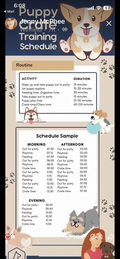 Puppy Routine Schedule 8 Weeks, Best Way To Train A Puppy, Dog Training Potty Go Outside, Puppy Zone Ideas, New Puppy Training Schedule, Puppy Commands Training, 4 Month Puppy Schedule, Crate Training Puppy While Working, Dog Crate Training Schedule