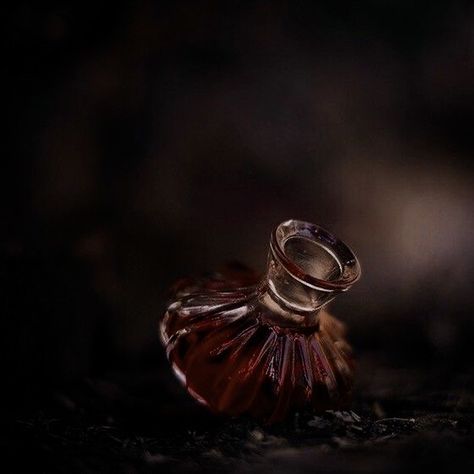 Love Potion Aesthetic Dark, Potion Aesthetic Bottle, Abby Core Aesthetic, Aesthetic Poison, Potion Aesthetic, Poison Aesthetic, Dark Fantasy Romance, Asoiaf Oc, Visual Writing Prompts