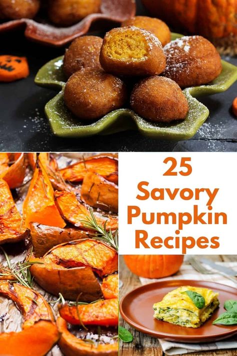 A list of savory pumpkin recipes that can be enjoyed in those months when fresh pumpkins are available but additionally, all year long with pumpkin puree. Sometimes we totally forget about this ingredient in other seasons, and it is WAY too good to be left sitting on the shelf! #Pumpkin #Savory Pumpkin Recipes Easy Dinner, Pumpkin Recipes Dinner, Savory Pumpkin, Recipes Savory, Pumpkin Recipes Healthy, Savory Pumpkin Recipes, Pumpkin Dishes, Pumpkin Recipes Easy, Overnight Oat