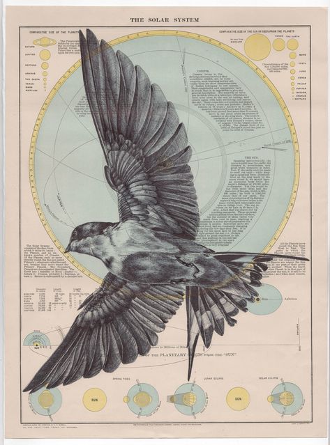 Mark Powell, Biro Drawing, Chinese Scroll, System Map, Ballpoint Pen Drawing, Pen Illustration, Colossal Art, Visual Culture, Gcse Art