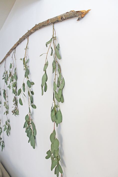 DIY Wall Decor - Eucalyptus Branch - The Honeycomb Home Tree Branch Decor Diy, Western Decor Diy, Tree Branch Decor, Boho Mirror, Tree Branch Wall, Living Room Decor Rustic, Boho Living Room Decor, Boho Room Decor, Tree Wall Decor