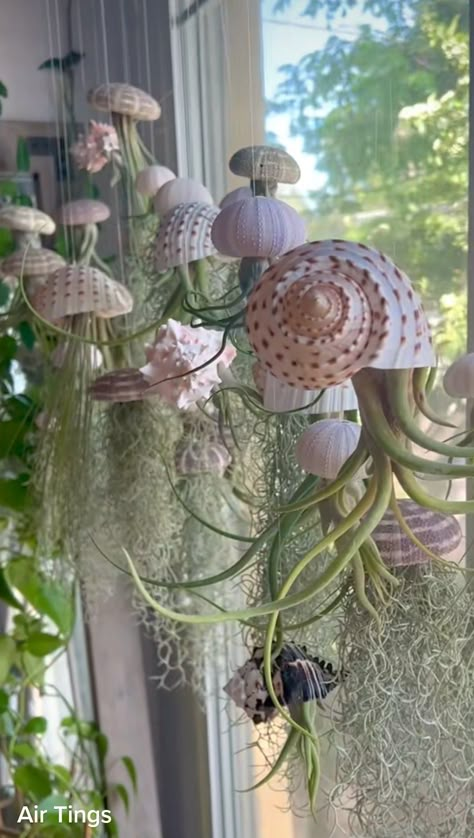 Air Plants Diy, Air Plants Decor, Terrarium Plants, Hanging Garden, Seashell Crafts, Diy Plants, Fine Woodworking, Shell Crafts, Www Pinterest Com