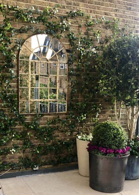 Foliage grown around a garden mirror can work so well to frame the mirror Outdoor Mirrors Garden, London Balcony, Cream Mirror, Living Wall Garden, Garden Shed Interiors, Garden Decking, Garden Mirror, Courtyard Gardens Design, Antique Garden