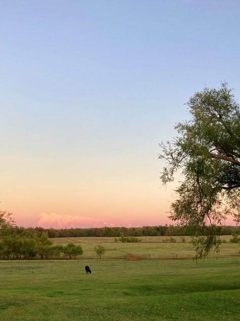 Open Land Aesthetic, Farm Sunset Aesthetic, Hill Country Aesthetic, Farm Asthetic Picture, Farm Living Aesthetic, Old Farm Aesthetic, Deeper Well Aesthetic, Farm Esthetics, Farm Astethic