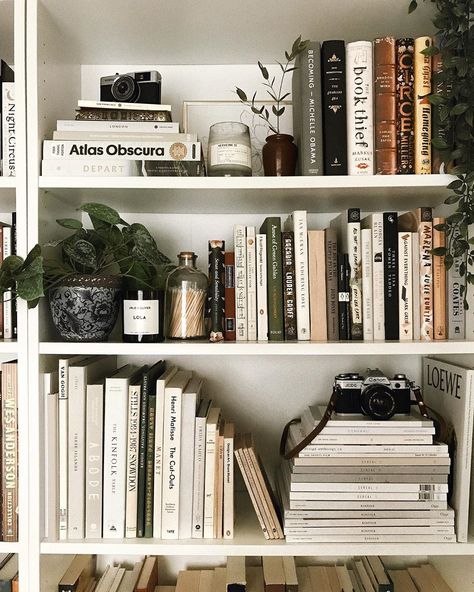 Polly Florence on Instagram: “Spent some time today sorting and rearranging my shelves which was very therapeutic and really just the kind of thing my brain needed…” Polly Florence, Bookshelf Inspiration, Attic Bedroom Designs, Aesthetic Apartment, Flat Interior, Attic Bedroom, Concept Board, Bookshelf Decor, Blog Inspiration