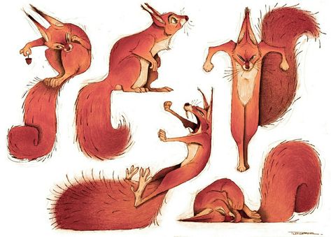 Cartoon Squirrel, Squirrel Illustration, Squirrel Art, Animals Watercolor, Fox Squirrel, Art Resources, Character Design References, Art Styles, Squirrels