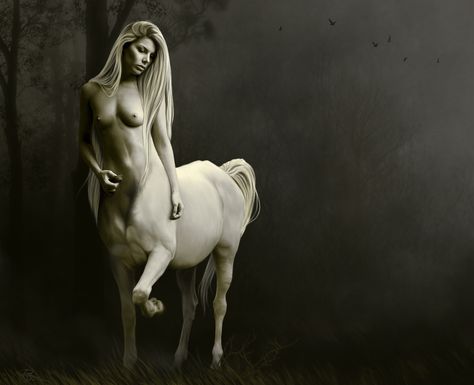 Centaur | Centaur" Female Centaur, Philippine Mythology, Wildest Fantasy, Water Pictures, Fan Picture, Legendary Creature, Alien Concept Art, Mythological Creatures, Woodland Creatures