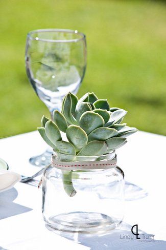 #Succulent wedding table decor ft. in Eco Friendly Karoo Style Garden Wedding, South Africa | Confetti Daydreams ♥  ♥  ♥ LIKE US ON FB: www.facebook.com/confettidaydreams  ♥  ♥  ♥ #Wedding #RealBride #GreenWedding Succulent Table Decor, Wedding South Africa, Succulent Wedding Table, Dorm Room Decor Diy, Wedding Table Deco, Succulent Wedding Decor, Protea Wedding, Long Table Wedding, African Christmas