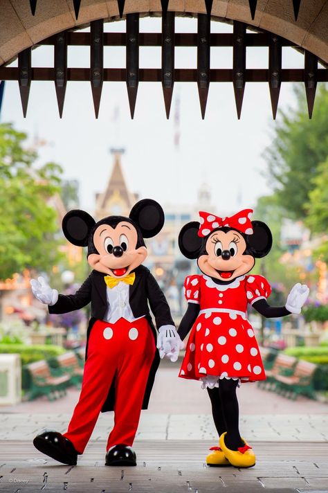 Wallpapers Disney, Disneyland Characters, Funny Disney Shirts, Mouse Wallpaper, Minnie Mouse Pictures, Tema Disney, Disney World Pictures, Disney World Characters, Disney Memories