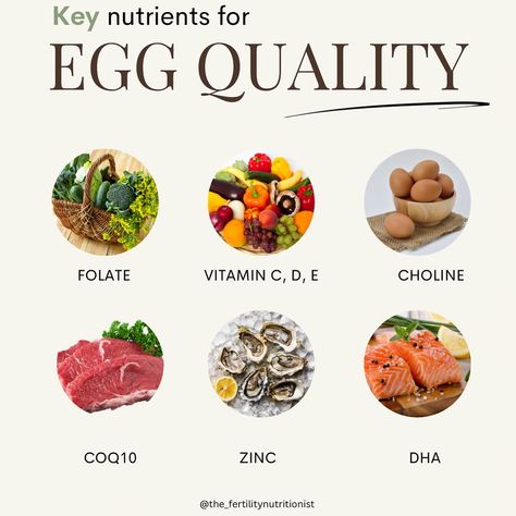 ESSENTIAL FOR EGG QUALITY 🥚 ⬇️ As we age, the quality of ours eggs start to decline and they are more susceptible to oxidative stress and DNA damage… This can hugely impact your ability to fall pregnant AND the viability of the pregnancy… The good news is you CAN improve your egg health These are some of my favourite nutrients, which are scientifically proven to support fertility ** Make sure you save this post and follow for more!** 👉Folate is essential for DNA synthesis and cell gro... Foods To Improve Egg Quality, Egg Freezing Fertility For Women, How To Improve Egg Quality Fertility, Improve Egg Quality Fertility, Ivf Diet Fertility Foods, Improving Egg Quality Fertility, Egg Retrieval Ivf, Fertility Supplements, Fertility Nutrition