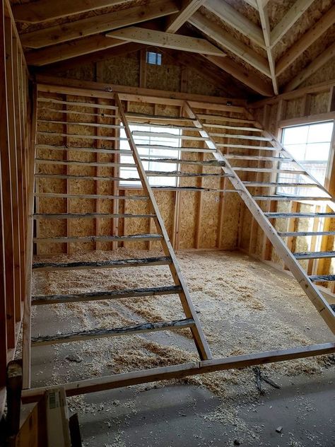 Chicken Coop Roosts, Chicken Coop Roost, Chicken Coop Interior Ideas, Chicken Roost Ideas, Chicken Duck Coop, Easy Diy Chicken Coop, Chicken Coop Building Plans, Roosting Bars, Chicken Coop Building