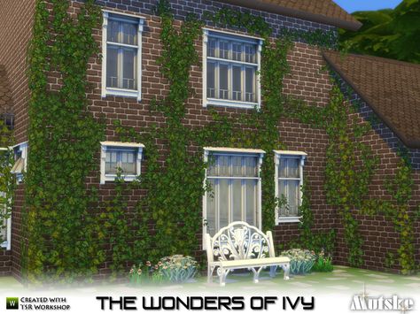 The wonders of Ivy... I had to have them, so hear they are! This set has 21 different sizes to create a wall  full of ivy. I might happen that you will need the cheat bb.moveobjects to place the... Ivy Plant Indoor, Mod Wall, Sims Medieval, Ivy Wall, Sims Building, Sims 4 Gameplay, Ivy Plants, Sims 4 Update, Sims 4 Cc Furniture