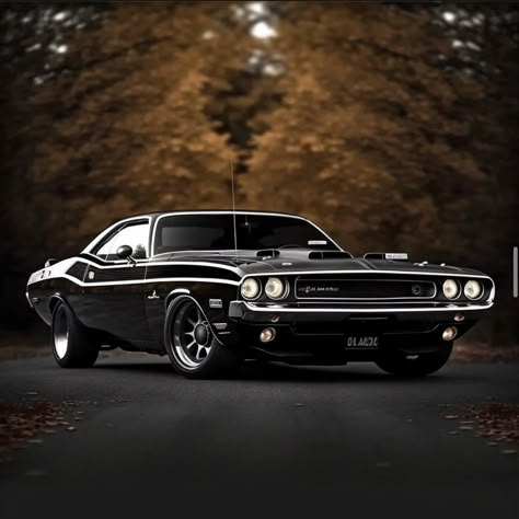 Old Sports Cars Vintage, 80s Muscle Cars, Black Muscle Cars, Classic Challenger, American Muscle Cars Mustang, Cars Cartoon Disney, Vintage Muscle Car, American Muscle Cars Dodge, Mustang Classic