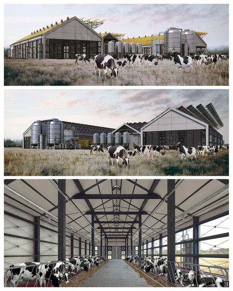 ANIMAL ENERGY FARM | Architecture Project Steakhouse Design, Farm Architecture, Cattle Housing, Landscape Design Competition, Farm Tourism, Infrastructure Architecture, Cattle Barn, Architecture Portfolio Layout, Factory Architecture