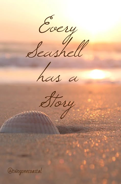 Every Seashell has a Story...collect sea shells from every beach... so far I have Jamaica, Cabo and Cancun great memories!!!! Ocean Quotes, I Love The Beach, Sanibel Island, Beach Quotes, Salt Life, Beach Time, Sunset Beach, Beach Bum, Beach Vibe