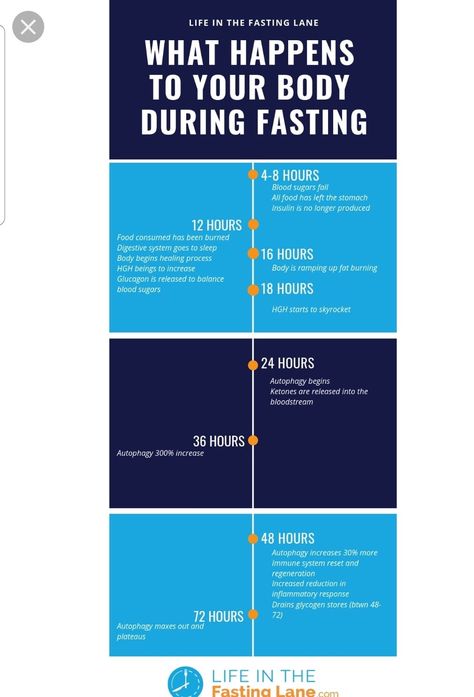 Fasting timeline Intermittent Fasting Timeline, Exercise Results Timeline, 4 Day Fast, Fasting Timeline, Fitness Results Timeline, Stages Of Fasting By Hour, Fasting Timeline Benefits, 14/10 Fasting Schedule, Workout Results Timeline