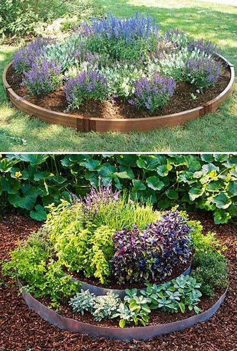 Integrate fruits, vegetables, and herbs into your landscaping. Use attractive plants like colorful peppers, kale, and strawberry plants. Circle Garden Bed, Round Garden Bed, Raised Garden Designs, Garden Renovation Ideas, Circle Garden, Landscaping Around Trees, Round Garden, Building A Raised Garden, Beautiful Flowers Garden