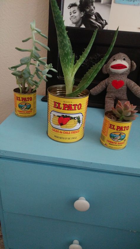 El Pato tomato sauce can succulent pots. Dyi Coffee Tin, Cactus Pot, Canned Tomato Sauce, Sock Monkey, Succulent Pots, Tin Can, Tomato Sauce, Flower Pots, Succulent