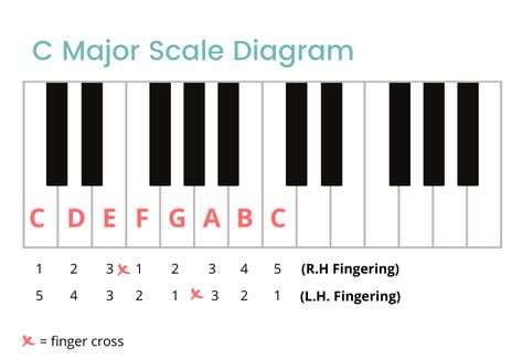 C Major Scale, Piano Scales, Chord Progressions, Cross Your Fingers, Piano Notes, Major Scale, D Minor, G Major, C Major