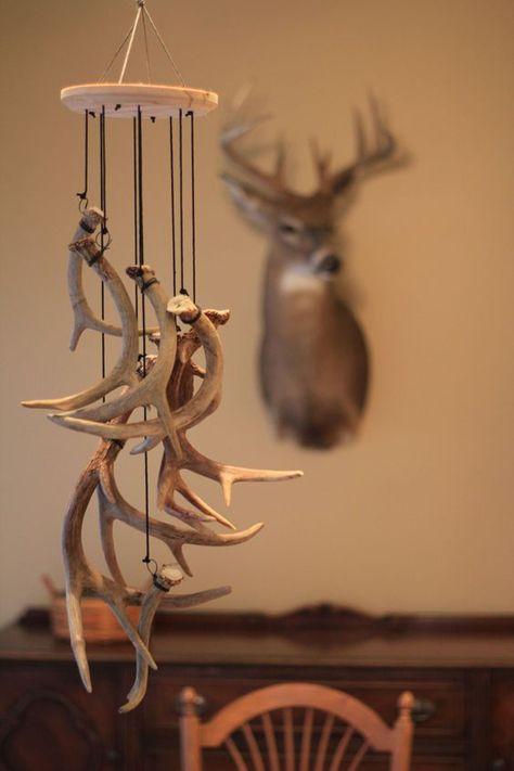 20 Cool And Trendy Antler Decorations Antler Nursery, Antler Projects, Diy Nursery Mobile, Deer Antler Crafts, Antler Ideas, Deer Antler Decor, Deer Heads, Hantverk Diy, Antlers Decor