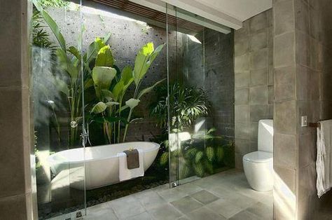 Tropical Bathroom Decor, Jungle Bathroom, Tropical Bathroom, Bathtub Tile, Bathroom Model, Bad Inspiration, Glass Walls, Bathroom Plants, Outdoor Bathrooms