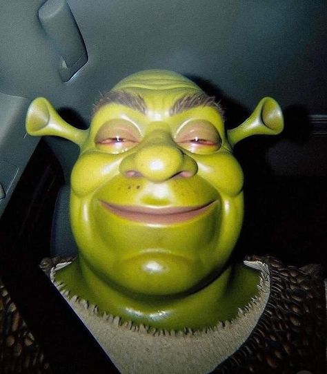 Weird AI generations Shrek, Viral Post, Mood Pics