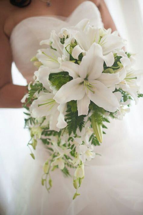 Stunning Bridal Bouquet Showcasing: White Casablanca Lilies + Buds, White Dendrobium Orchids + Buds, Green Leather Leaf Fern + Additional Greenery/Foliage Lily Wedding, Lily Bouquet, All White Wedding, Cascade Bouquet, White Wedding Flowers, Diy Wedding Flowers, White Lilies, Botanical Wedding, Wedding Flower Arrangements