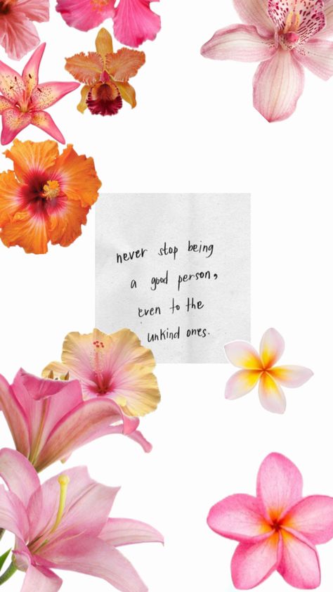 🌷 W Quotes, Hibiscus Wallpaper, Mac Backgrounds, Positive Vibes Quotes, Bible Quotes Wallpaper, Peace Illustration, Cute Tumblr Wallpaper, Fish Wallpaper, Motivational Wallpaper