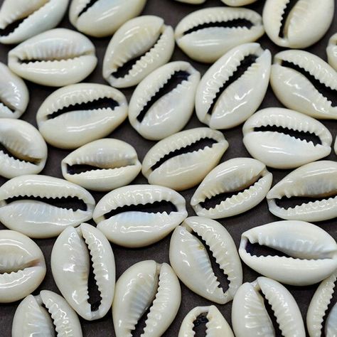 Seashells Jewelry, Beach Jewelry Diy, Cowrie Shell Jewelry, Starfish Wedding, Ocean Home Decor, Cowry Shell, Cowrie Shells, Shell Beach, Aquarium Fish Tank