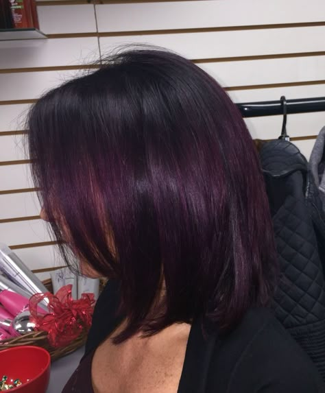 Dark Purple Shoulder Length Hair, Plum Hair Short, Short Violet Hair, Short Plum Hair, Dark Purple Short Hair, Hair Color On Dark Hair, Eggplant Hair Color, Black Ombré Hair, Color On Dark Hair