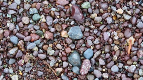 Want to be an expert Lake Michigan rock collector? 4 tips to get started Lake Michigan Stones, Leland Blue Stone, Michigan Rocks, Rock Collecting, Lake Michigan Beaches, Boat Parade, Real Estate Rentals, Michigan Beaches, Rock Hunting