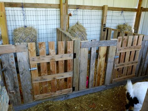 Our wire pens were a fail with the goats constantly ramming them and getting their heads stuck in the panels, hopefully these will be much better! Pallet Stalls For Goats, Lamb Enclosure, Diy Goat Pen Ideas, Goat Birthing Pen, Goat Kidding Pen Ideas, Goat House Ideas Diy, Goat Stalls In Barn, Goat Shed Ideas, Mini Farm Ideas