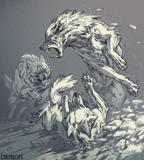 Wolf Poses, Wolf Sketch, Canine Drawing, Wolf Artwork, Werewolf Art, Wolf Drawing, Canine Art, 캐릭터 드로잉, Creature Concept Art