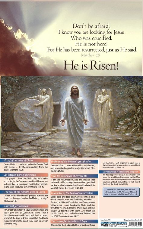 Jesus Christ Has Risen Today, Christ Is Risen Quotes, Jesus Is Risen Image, He's Risen Jesus Christ, He Is Not Here He Is Risen Jesus Christ, Jesus Is Risen Tell Your Peeps, Jesus Christ Is Risen, He Is Risen Quotes, Easter Videos Jesus Risen