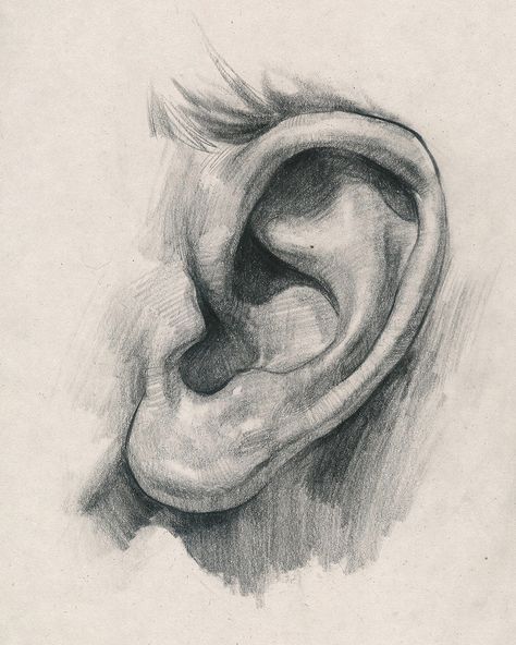 #portrait #drawing #tutorial How To Draw Ears, Ear Art, Human Anatomy Art, Anatomy Sketches, Arte Sketchbook, Anatomy Drawing, Portrait Sketches, Pencil Art Drawings, Art Drawings Sketches Creative