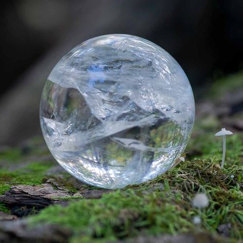 Clear Quartz - Moon Omens Moonstone Crystal Aesthetic, Moon Omens, Pisces And Taurus, Astrology Books, Crystal Aesthetic, Fired Earth, Age Of Aquarius, Sacred Feminine, Moonstone Crystal